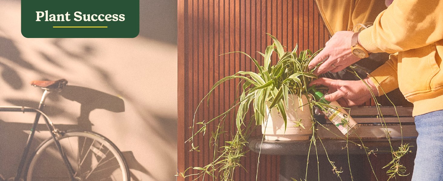 Adding Miracle-Gro Indoor Plant Food to a Potted Plant