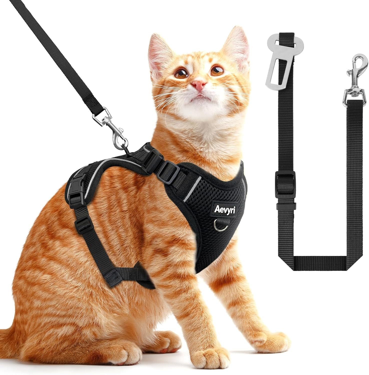 Four-Buckle Cat Harness Review: Escape-Proof Design Under $10?
