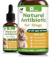 Dogs Antibiotics for Infection Coughs, UTIs, Allergies, Itching - Natural Antibiotics Supplement ...