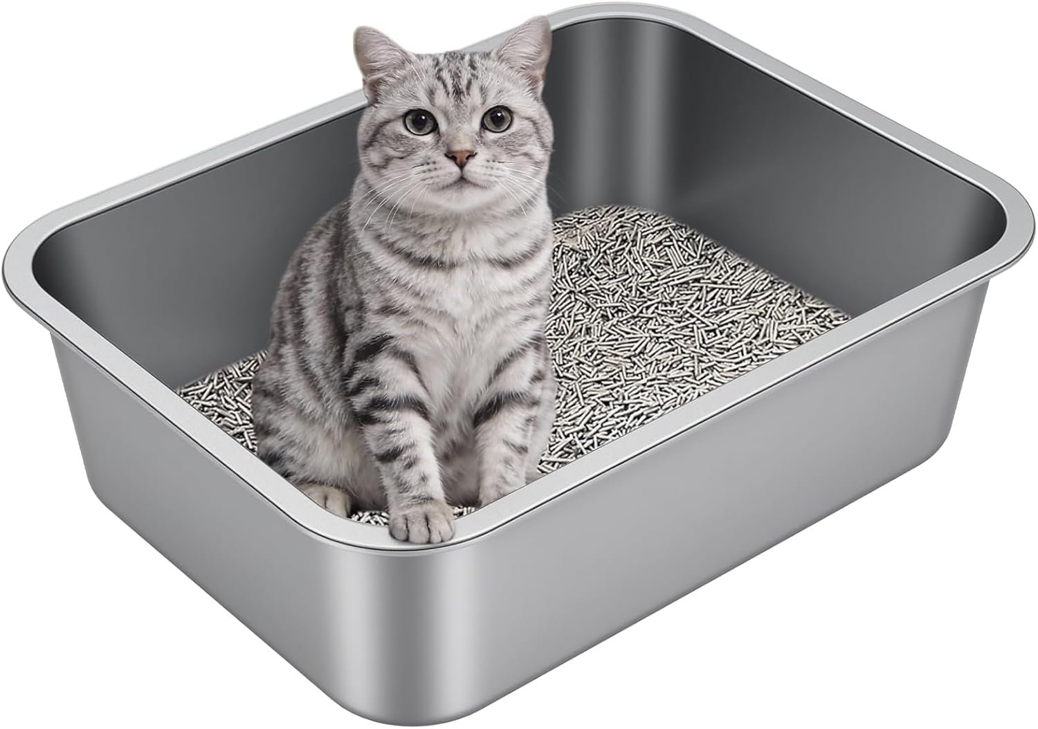 Idymere Stainless Review: Best Budget Steel Litter Box 2024?