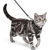 rabbitgoo Cat Harness and Leash, Escape Proof Vest with 3 Adjustable Buckles, Soft Comfortable Kitte